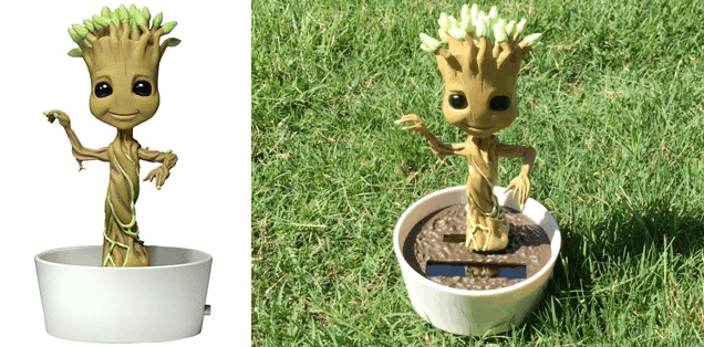 Detail Solar Dancing Groot Nomer 16