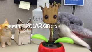 Detail Solar Dancing Groot Nomer 6