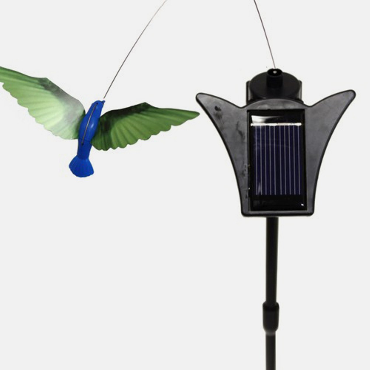 Detail Solar Dancing Hummingbird Nomer 27