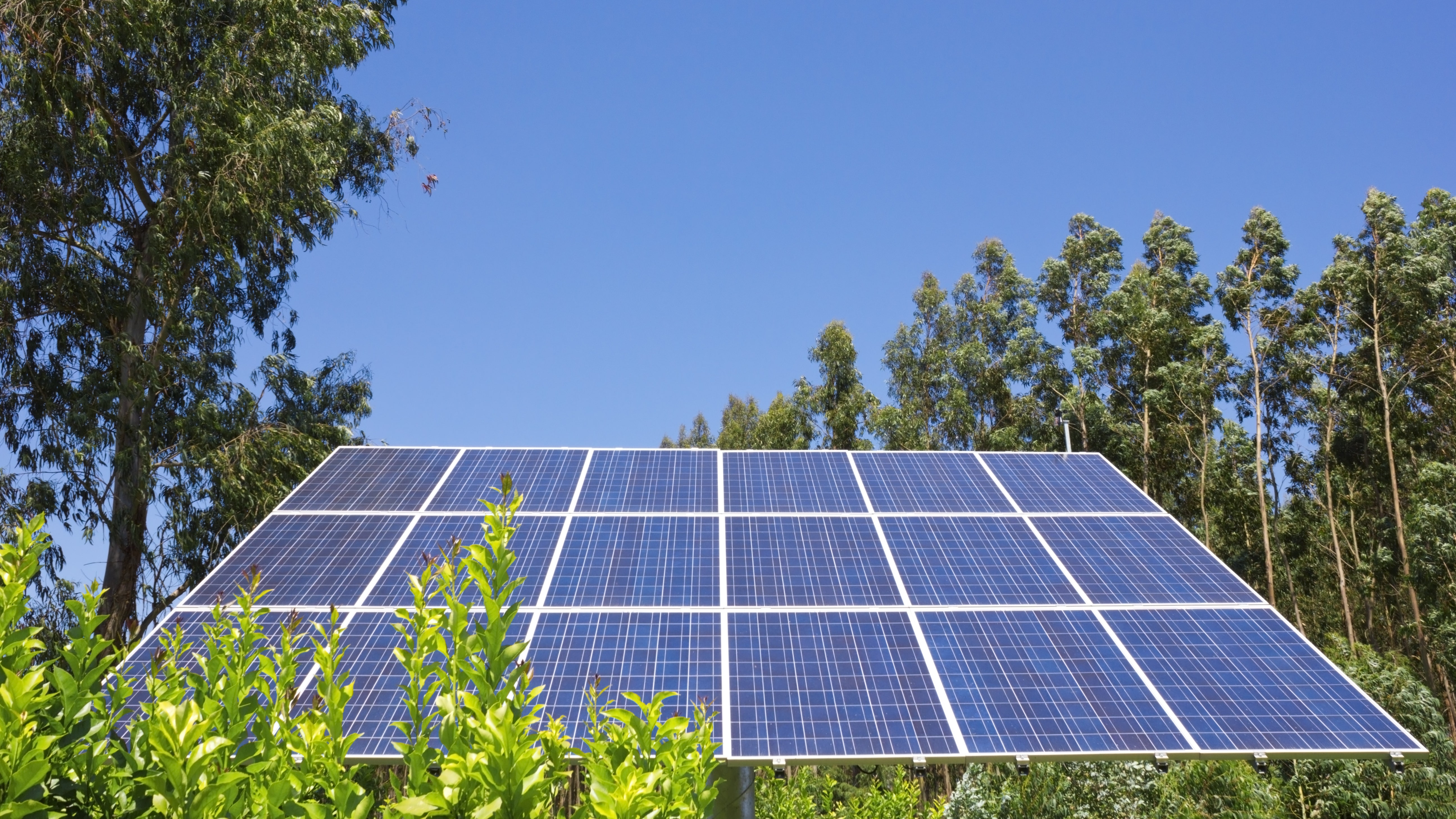 Detail Solar Panel Image Nomer 18