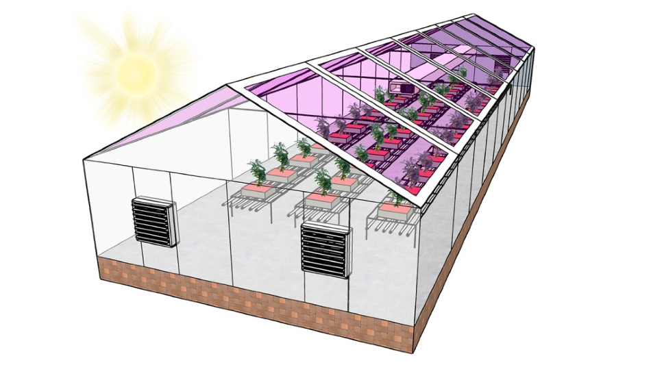 Detail Solar Panel Transparent Nomer 21
