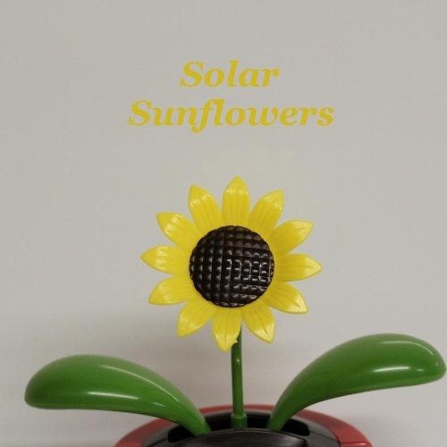 Detail Solar Powered Dancing Sunflower Nomer 47