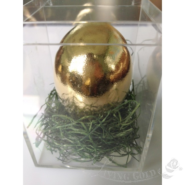 Detail Solid Gold Egg Nomer 11