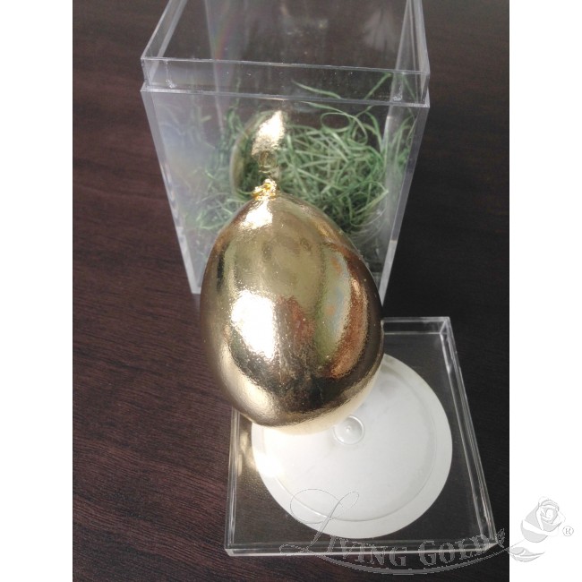 Detail Solid Gold Egg Nomer 14