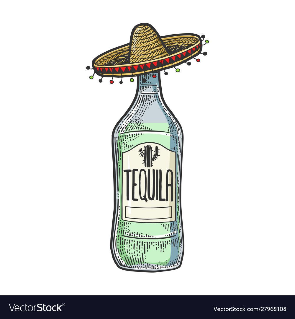 Detail Sombrero Tequila Bottle Nomer 13