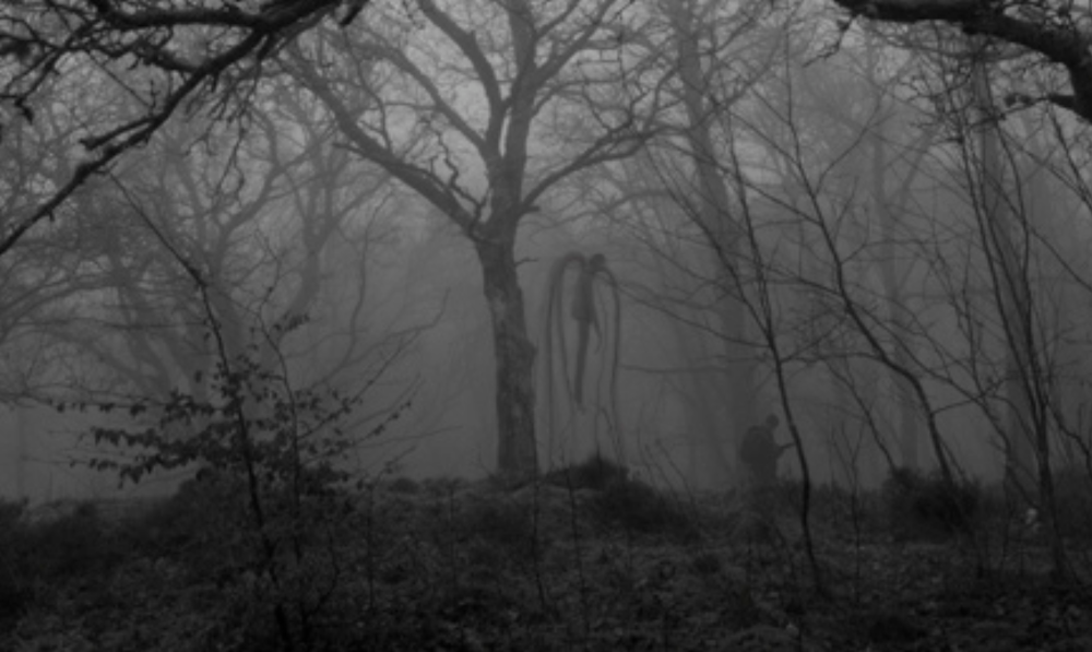 Detail Something Awful Slenderman Original Thread Nomer 17