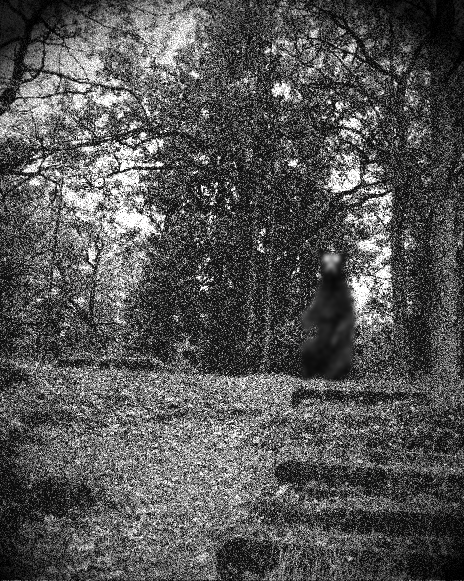 Detail Something Awful Slenderman Original Thread Nomer 2