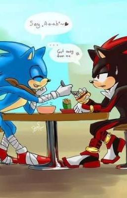 Detail Sonic And Shadow Toilet Nomer 47