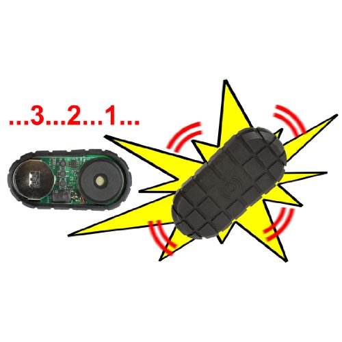 Detail Sonic Grenade Amazon Nomer 10