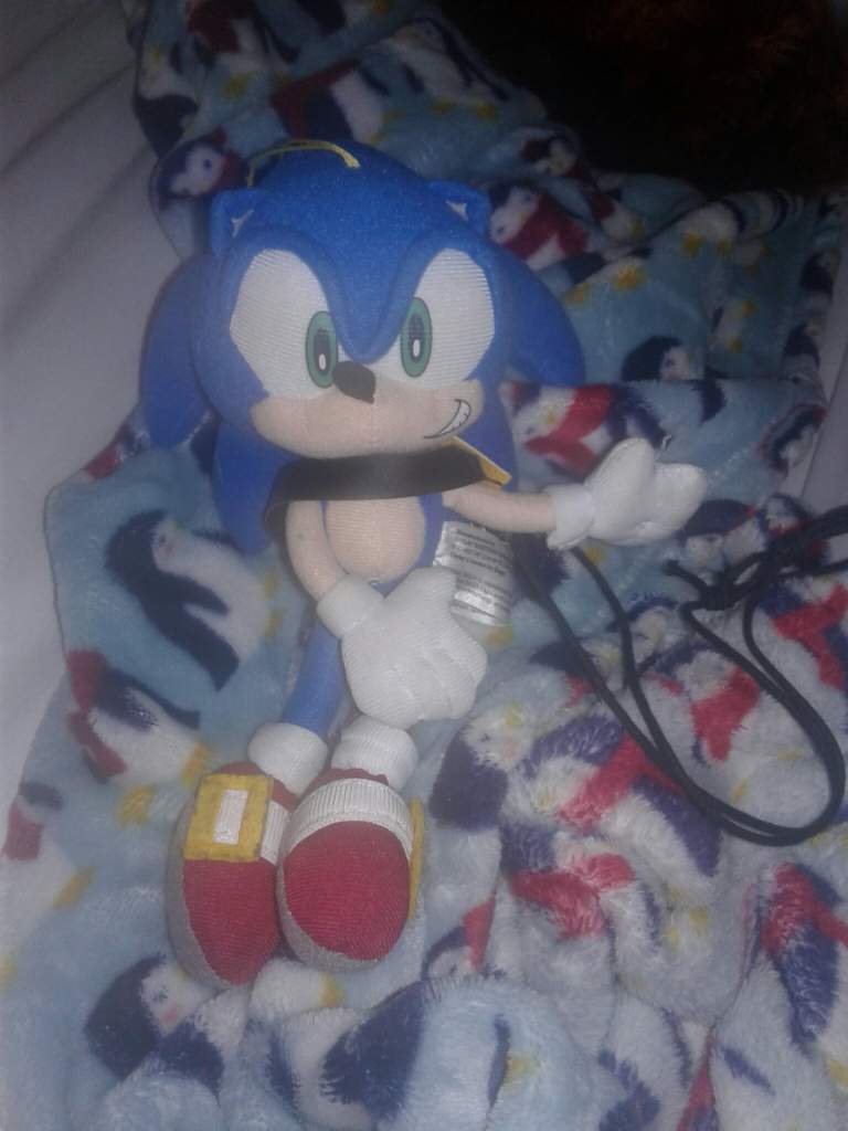 Detail Sonic The Hedgehog Body Pillow Nomer 39