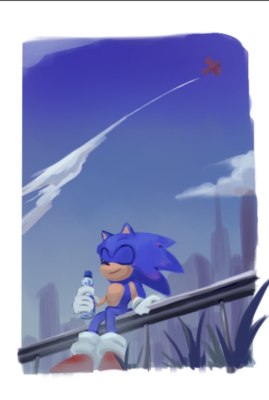 Detail Sonic The Hedgehog Body Pillow Nomer 46