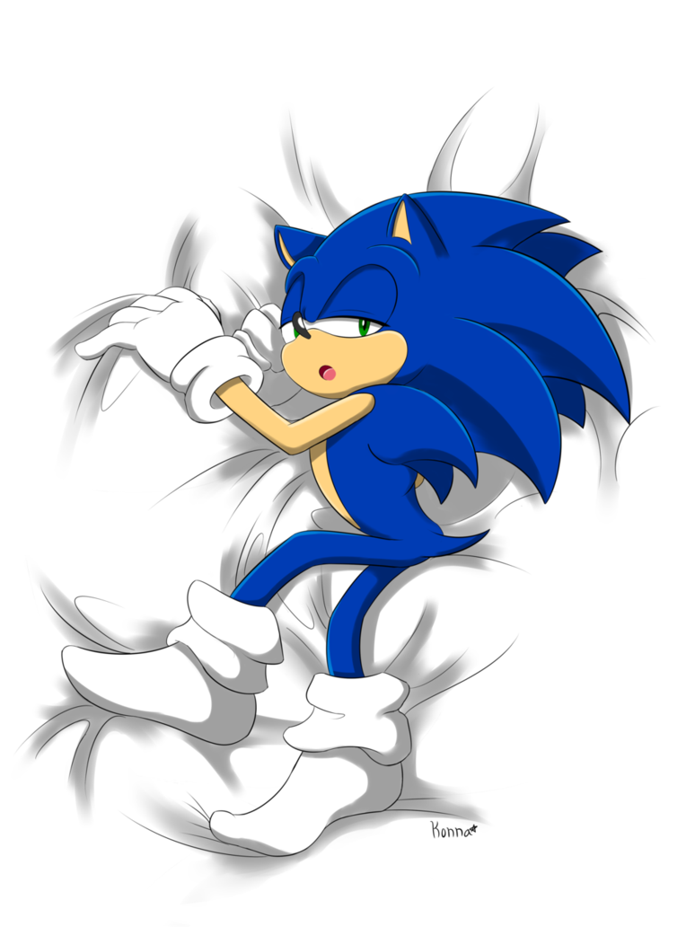 Detail Sonic The Hedgehog Body Pillow Nomer 10