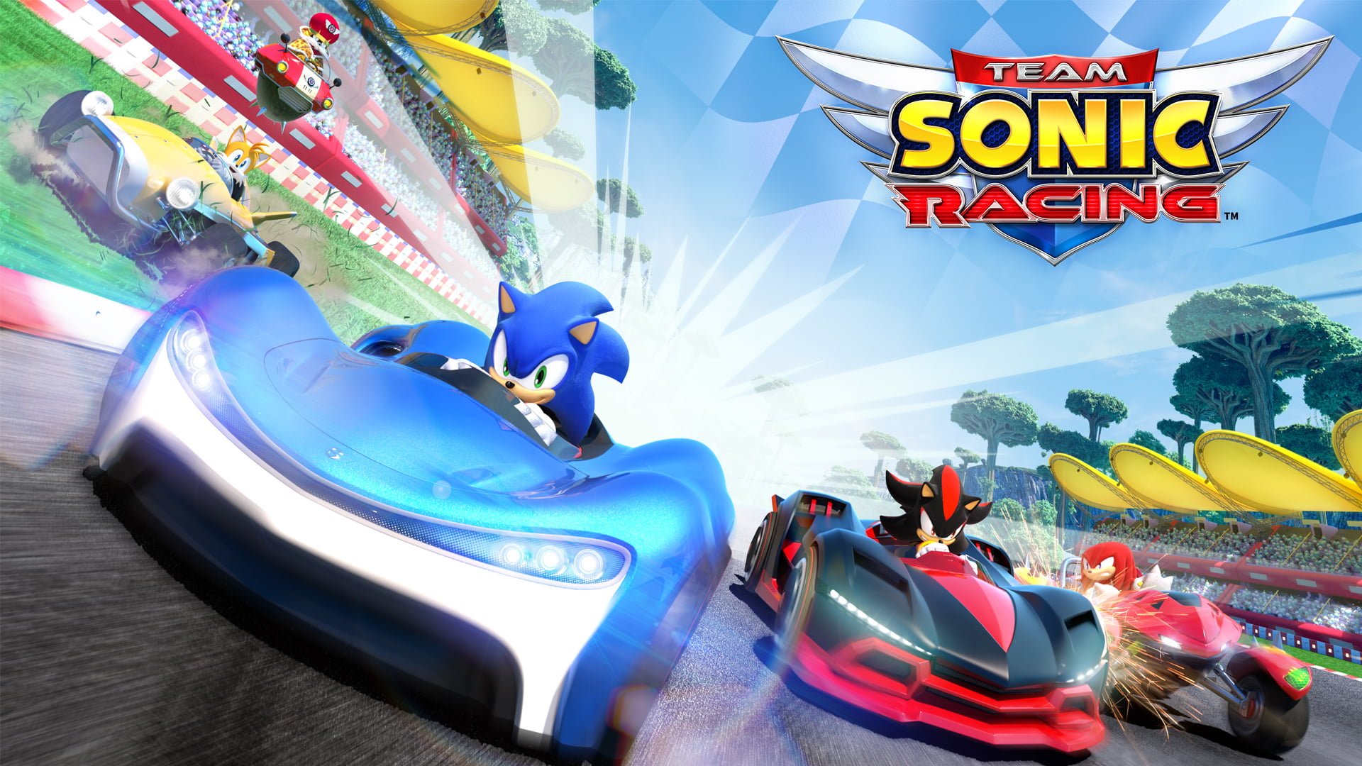 Detail Sonic The Hedgehog Game Free Download Nomer 29