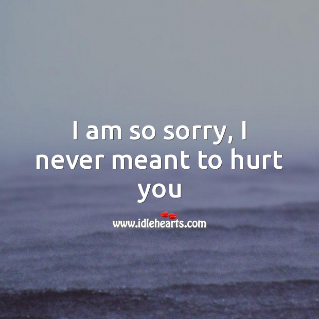 Detail Sorry I Hurt You Quotes For Him Nomer 13