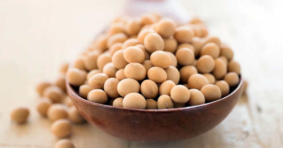 Detail Soy Bean Image Nomer 16