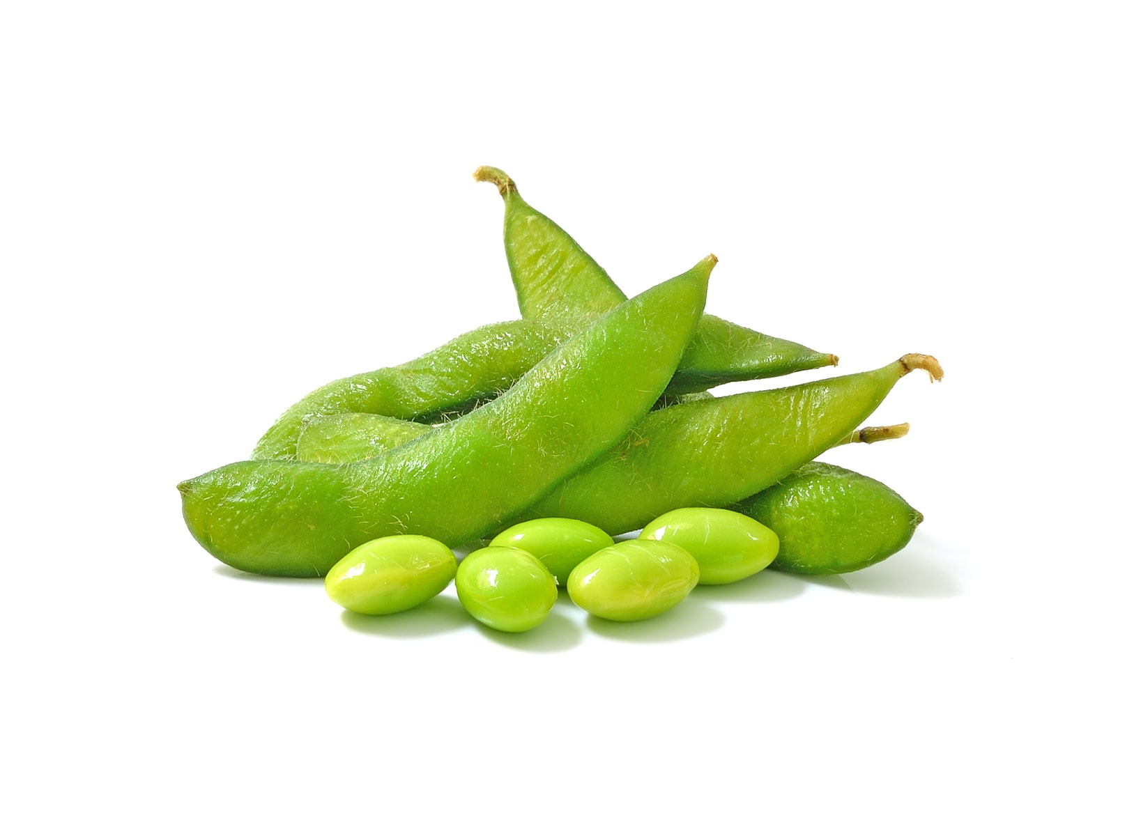 Detail Soy Bean Image Nomer 20