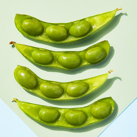 Detail Soy Bean Image Nomer 21