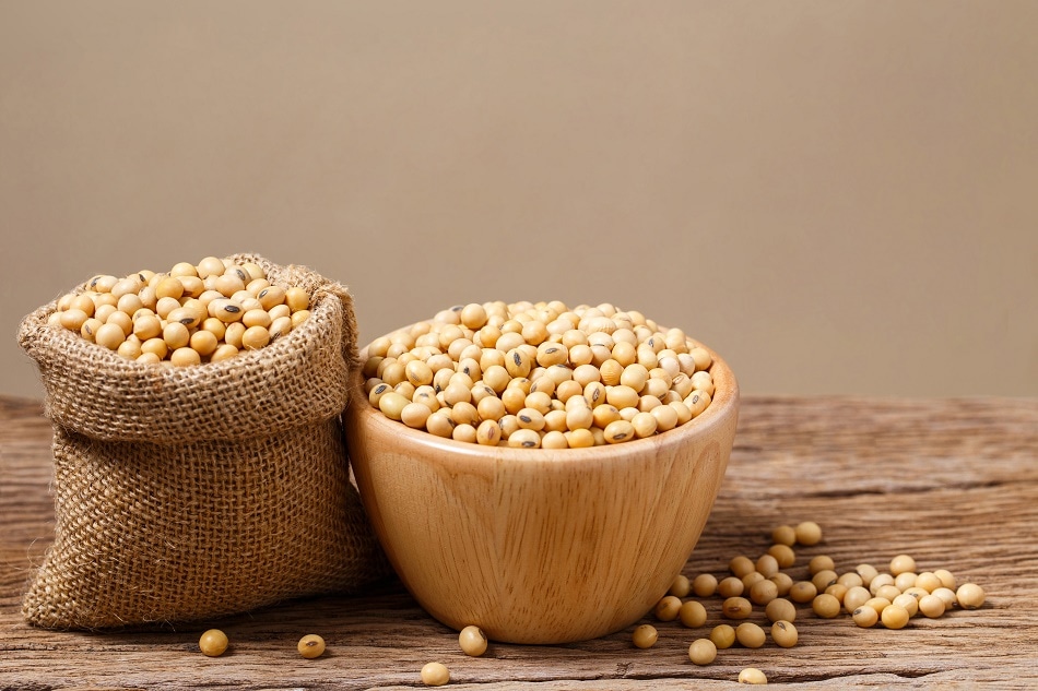 Detail Soy Bean Image Nomer 22