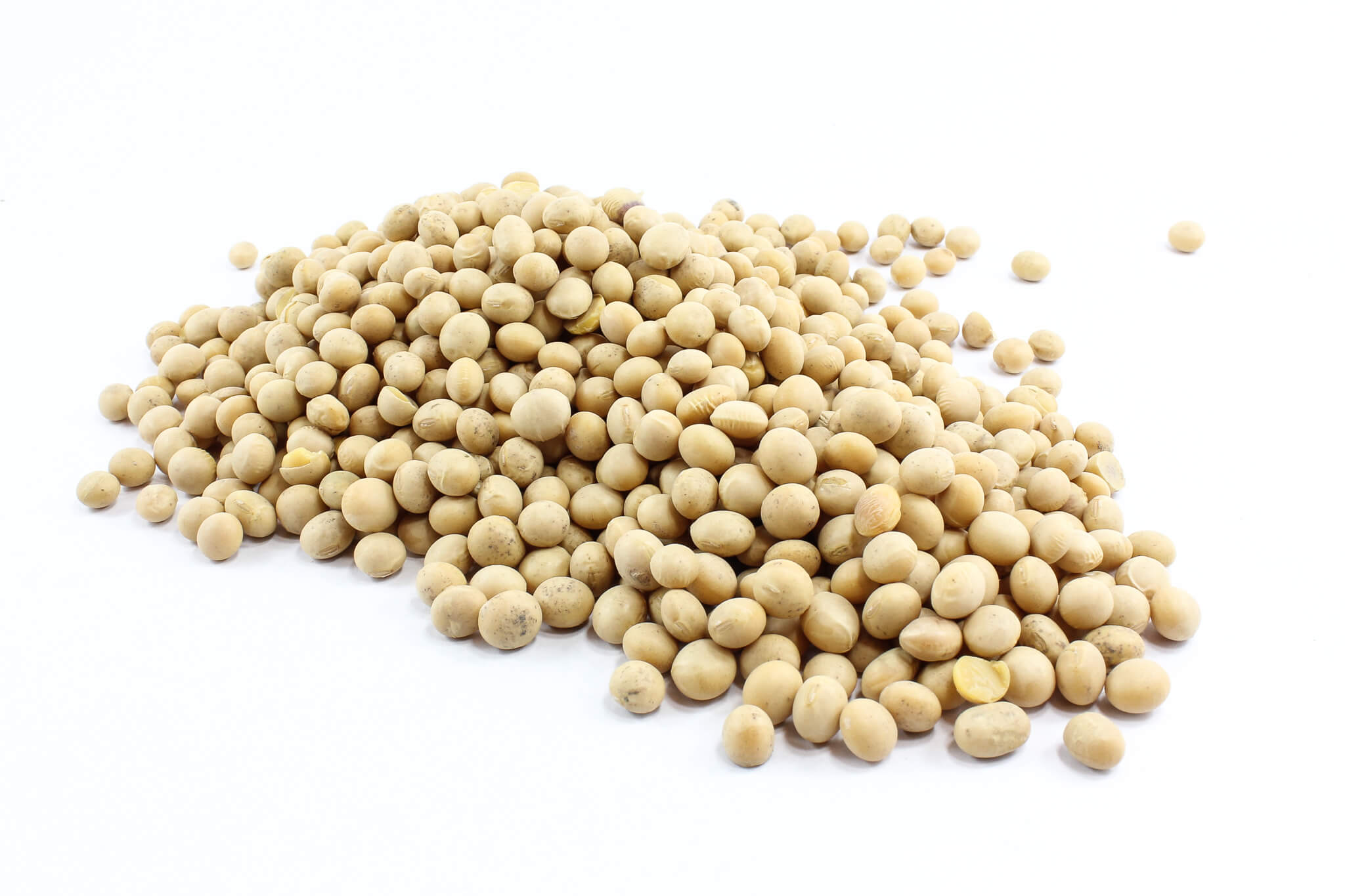 Detail Soy Bean Image Nomer 33