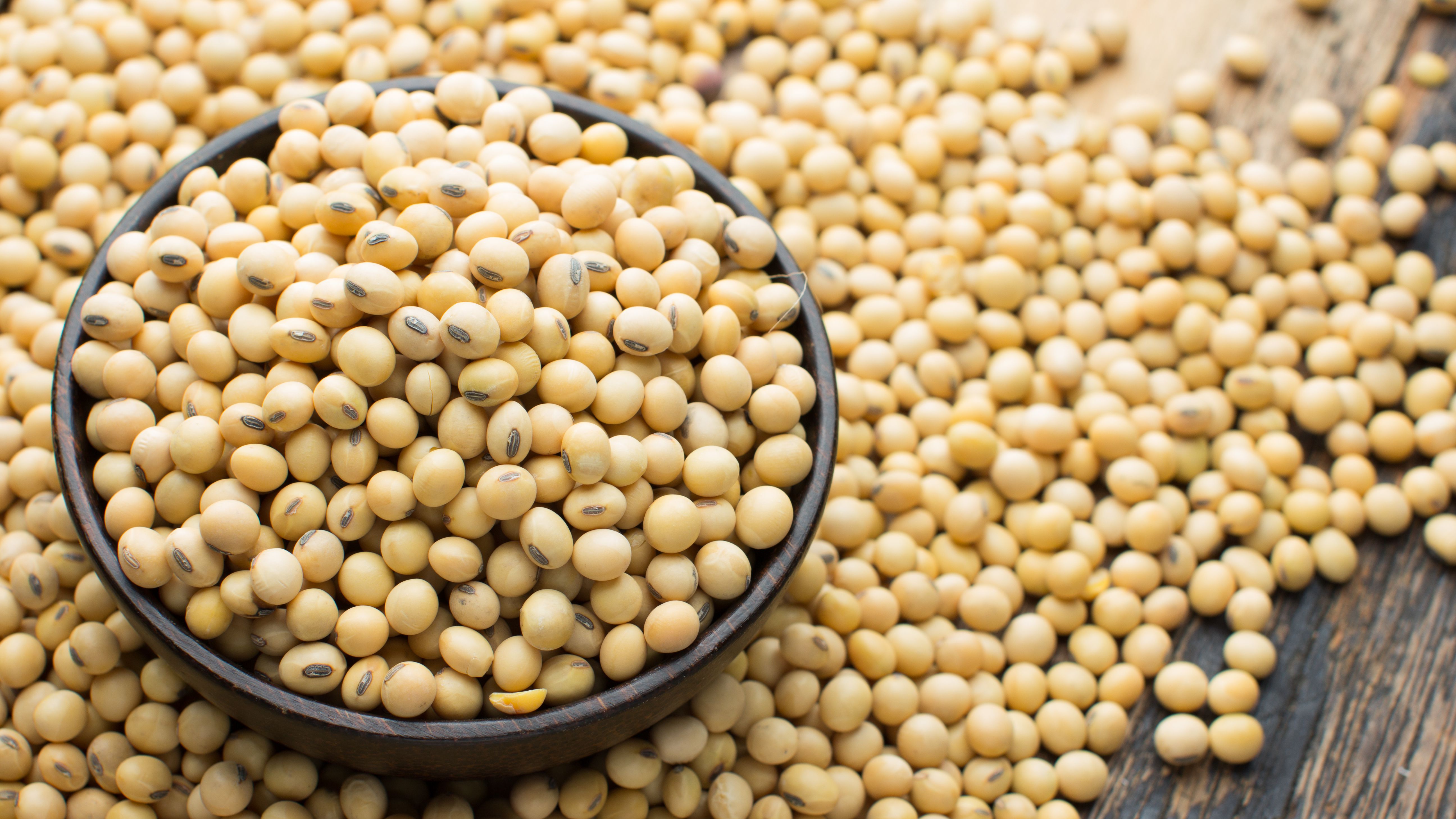 Detail Soy Bean Image Nomer 7