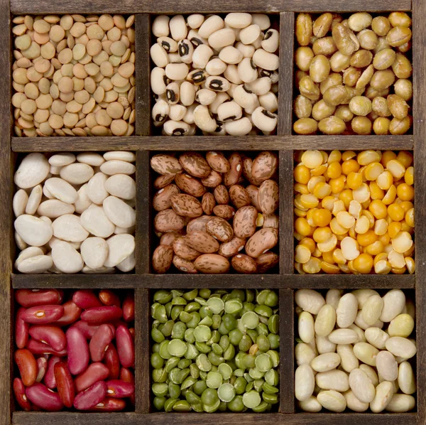 Soya Bean Images - KibrisPDR