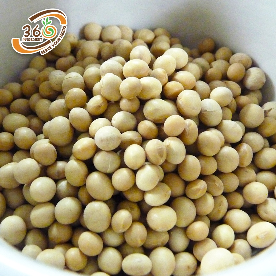 Detail Soya Bean Images Nomer 45