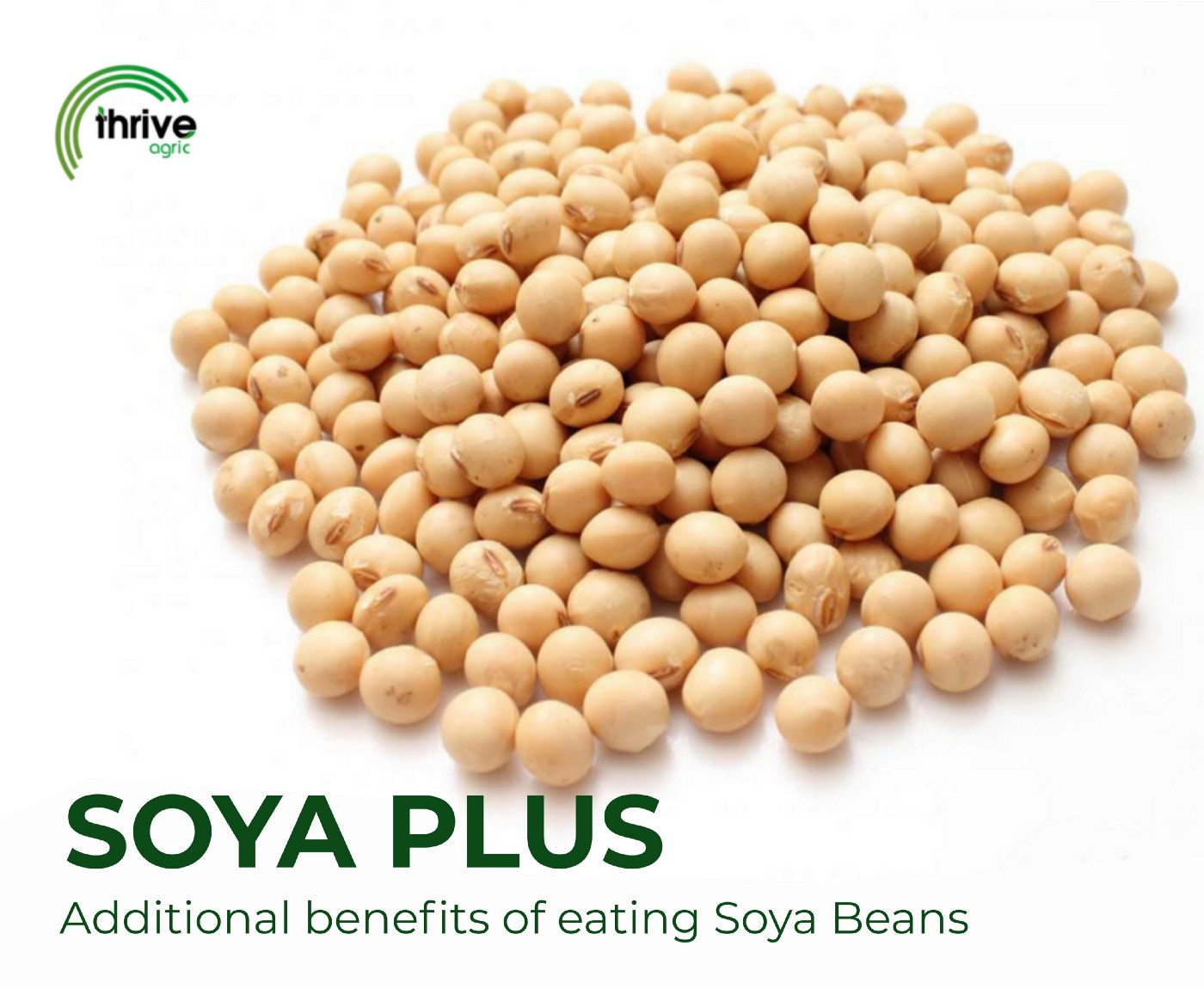 Detail Soya Beans Images Nomer 30