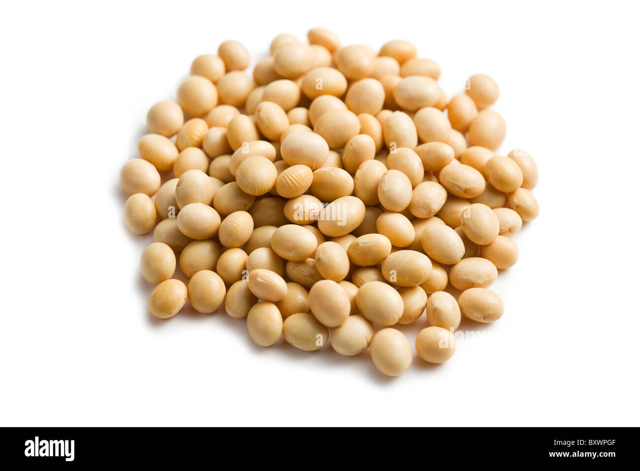 Detail Soya Beans Images Nomer 31