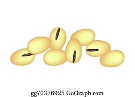 Detail Soybean Clipart Nomer 2