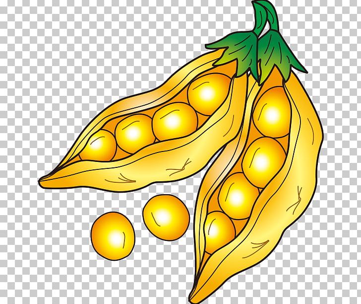 Detail Soybean Clipart Nomer 15