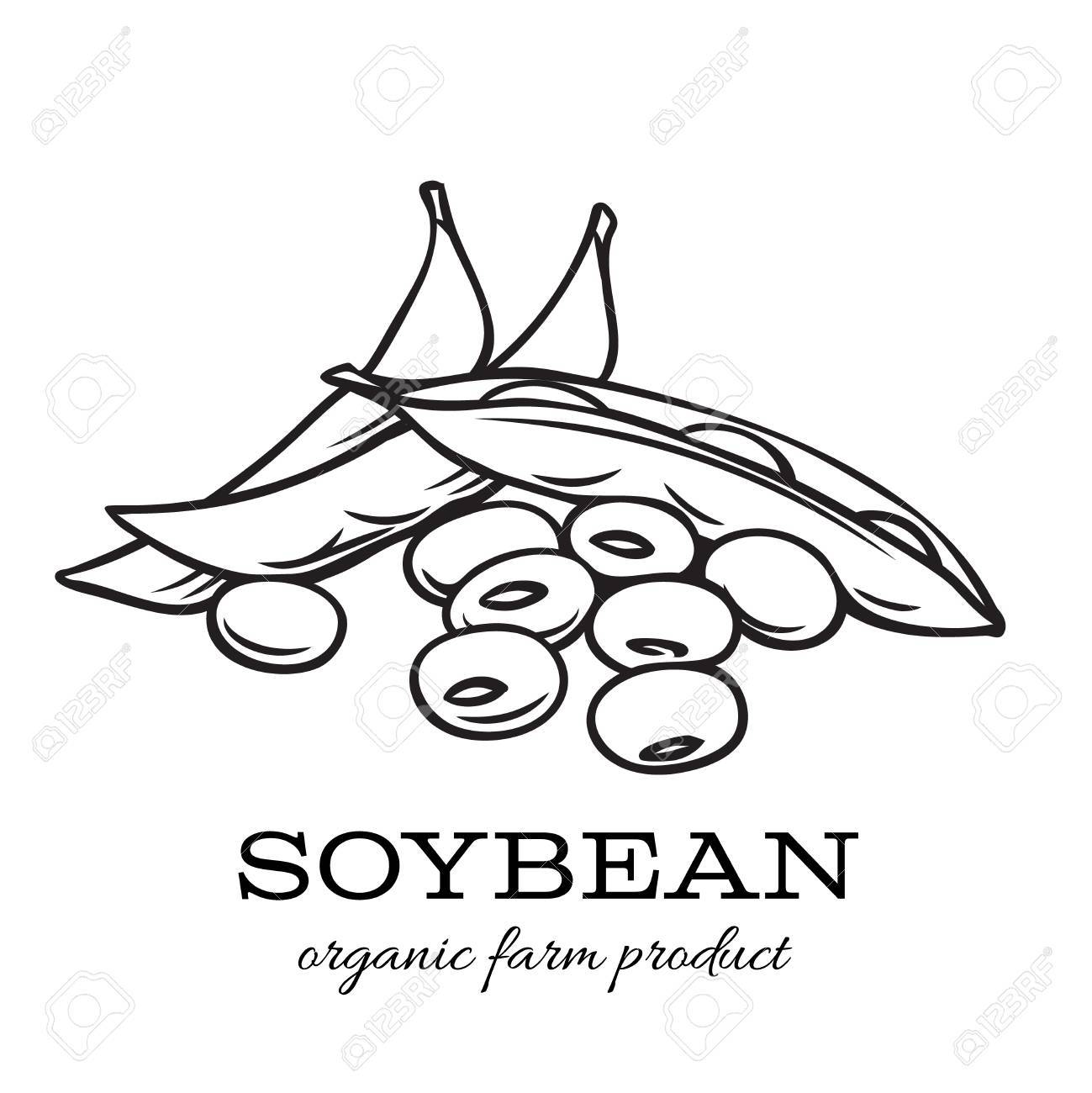 Detail Soybean Clipart Nomer 21