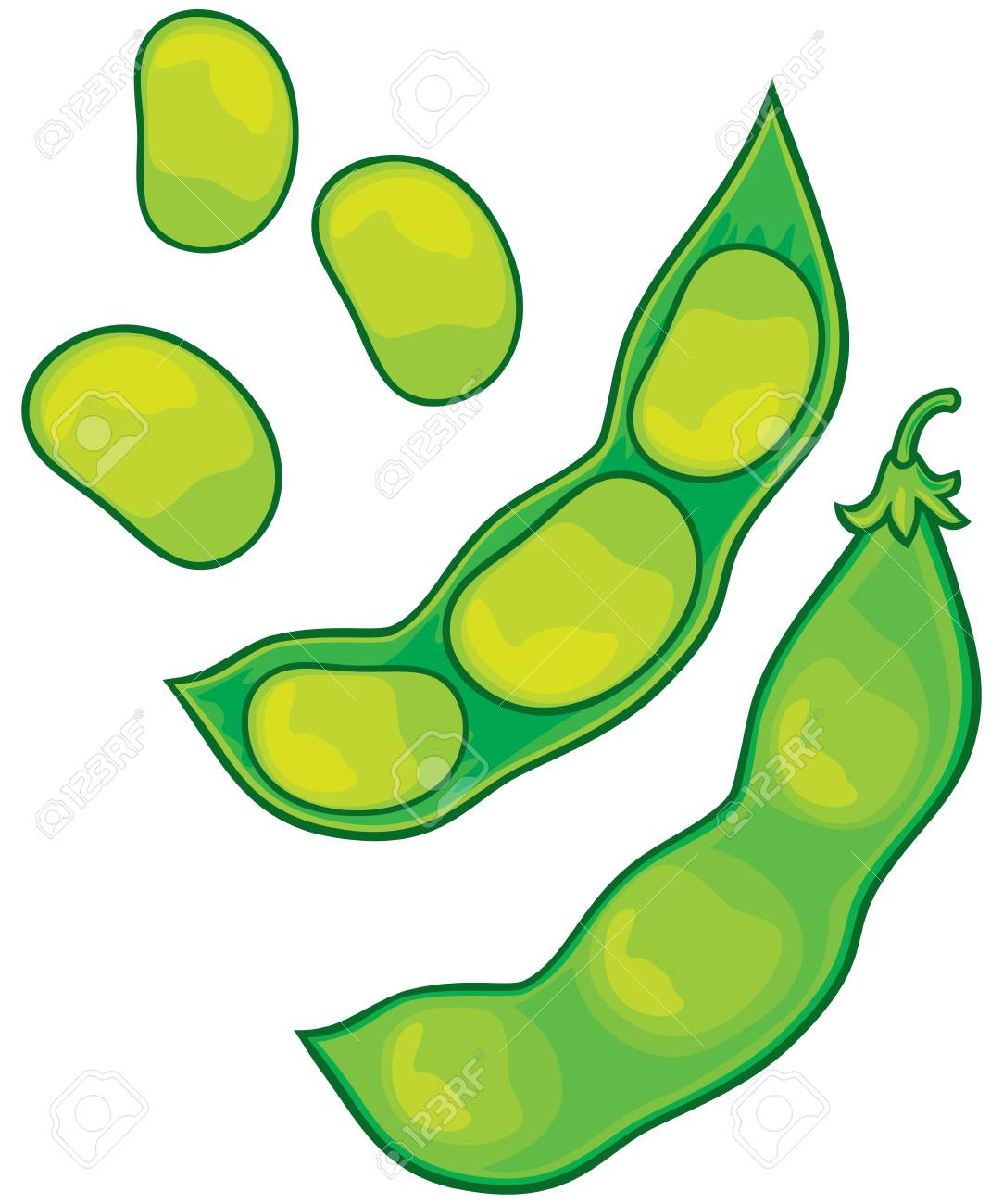 Detail Soybean Clipart Nomer 26