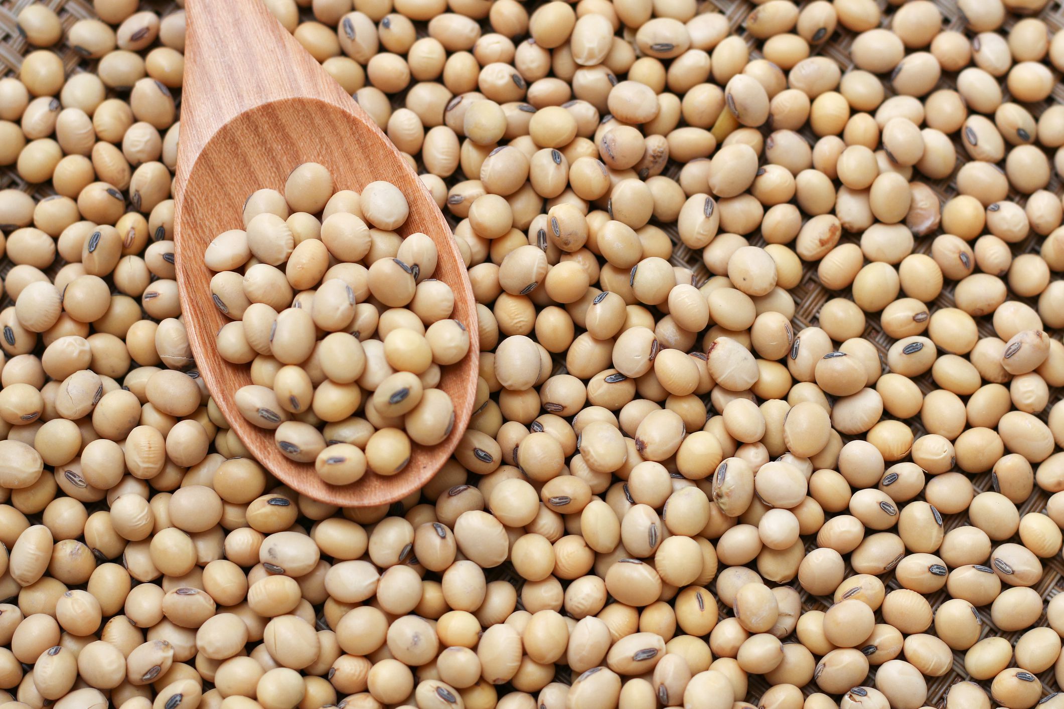 Soybean Image - KibrisPDR