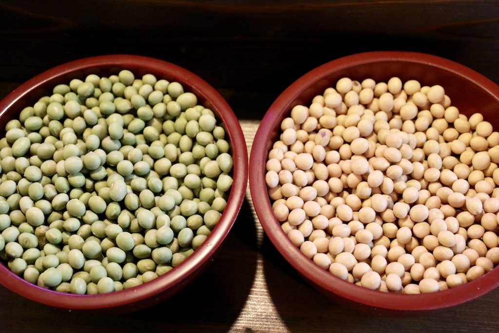 Detail Soybean Image Nomer 13