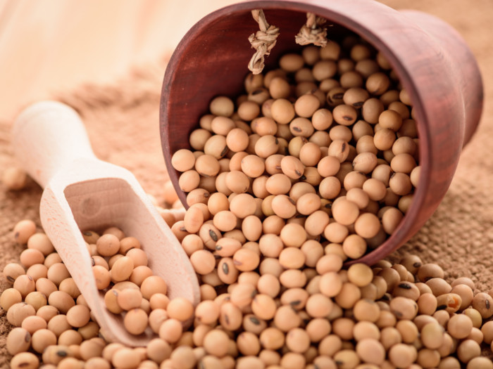 Detail Soybean Image Nomer 14