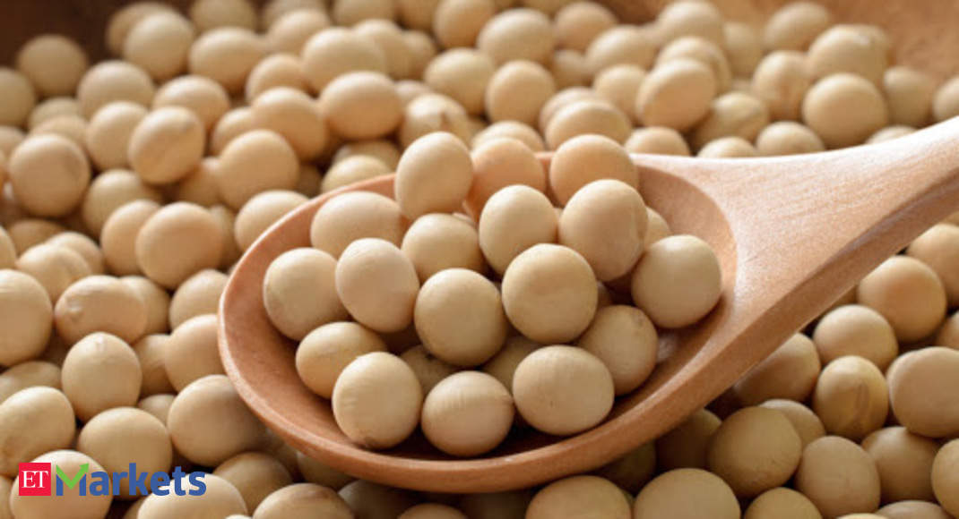 Detail Soybean Image Nomer 16