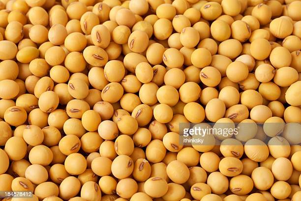 Detail Soybean Image Nomer 19