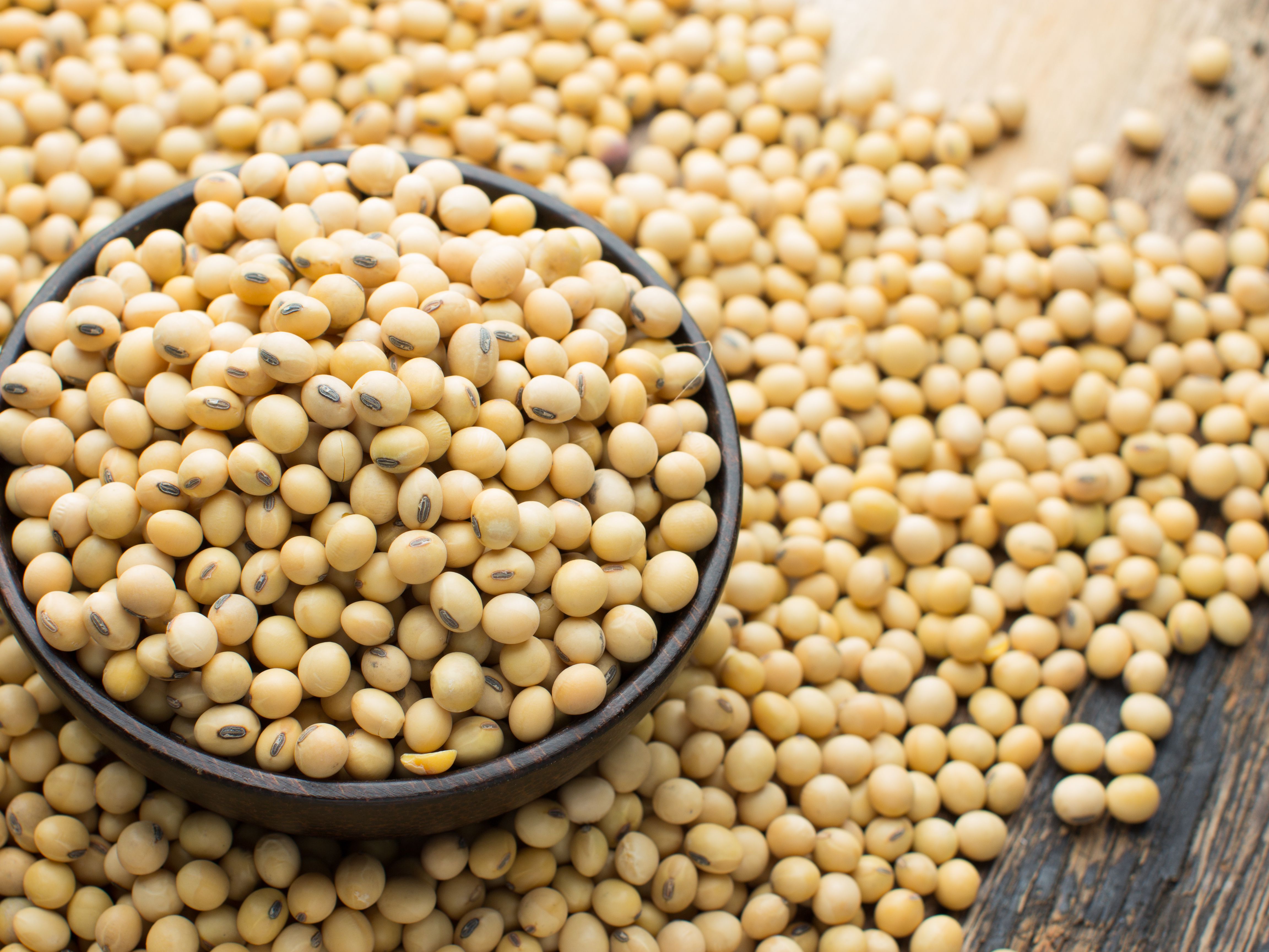 Detail Soybean Image Nomer 4
