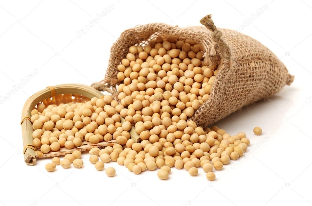 Detail Soybean Image Nomer 33