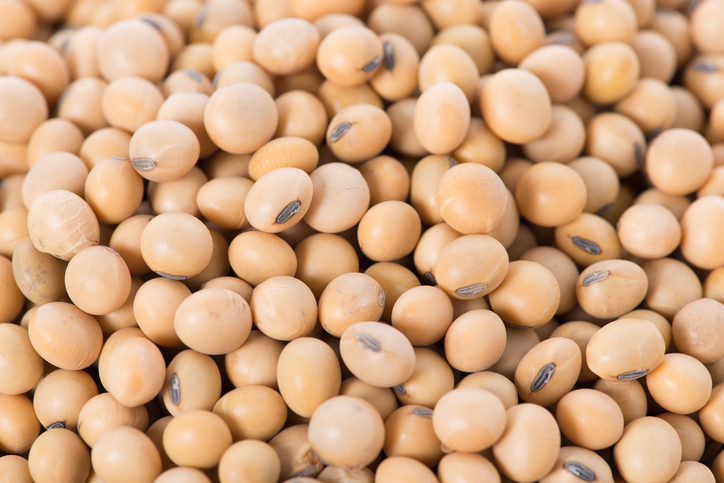 Detail Soybean Image Nomer 34