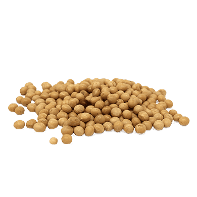 Detail Soybean Image Nomer 36