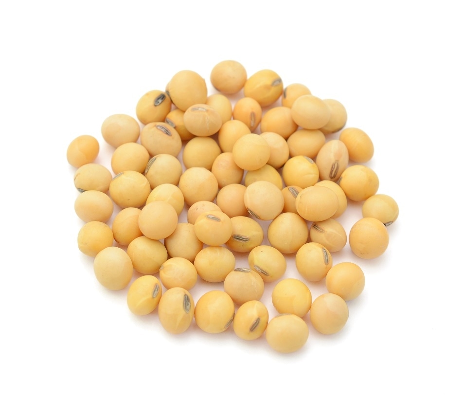 Detail Soybean Image Nomer 42