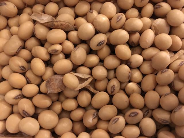 Detail Soybean Image Nomer 6