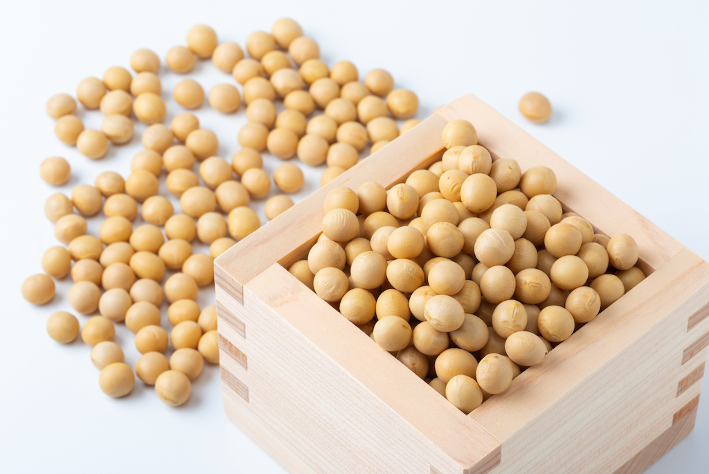 Detail Soybean Image Nomer 49