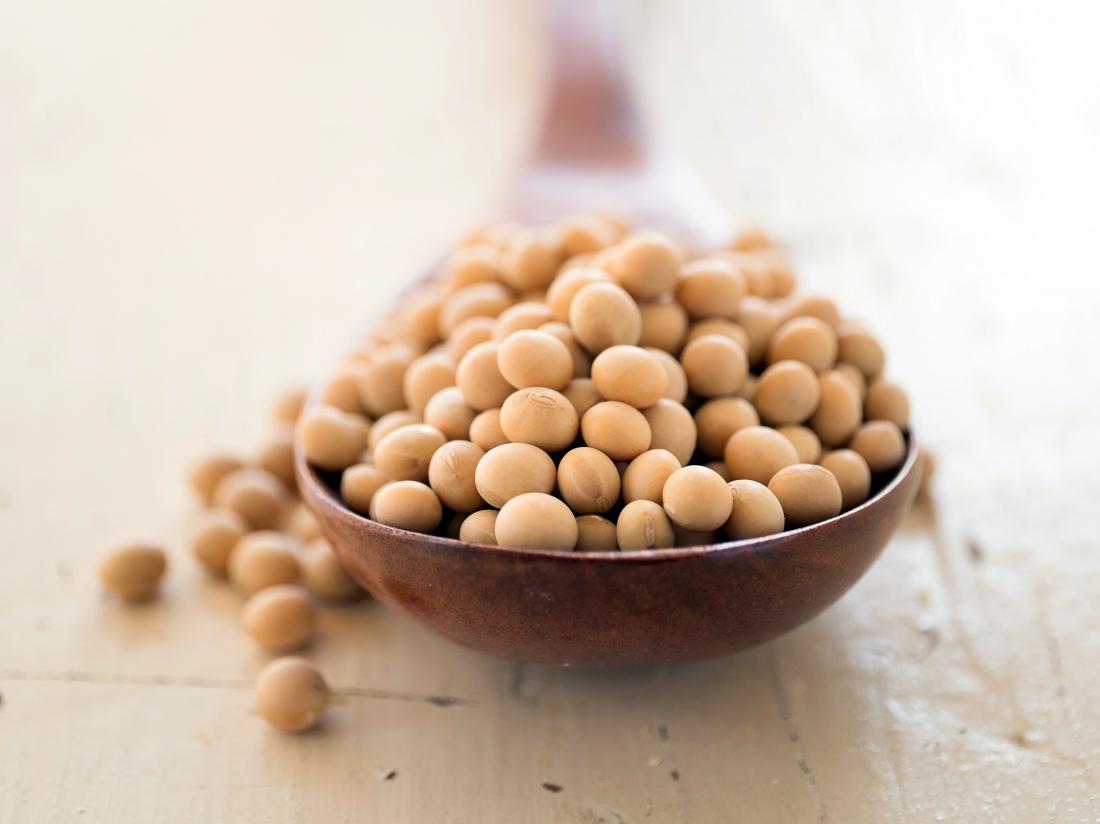 Detail Soybean Image Nomer 8