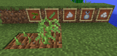 Soybean Minecraft - KibrisPDR