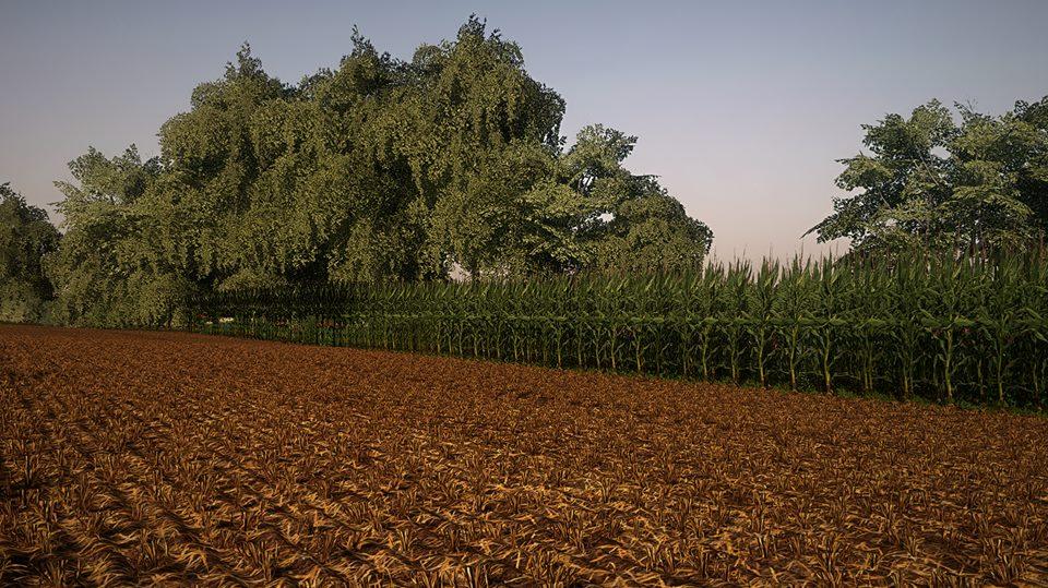 Detail Soybean Minecraft Nomer 24