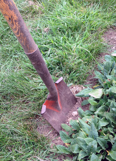 Detail Spade Tool Picture Nomer 49