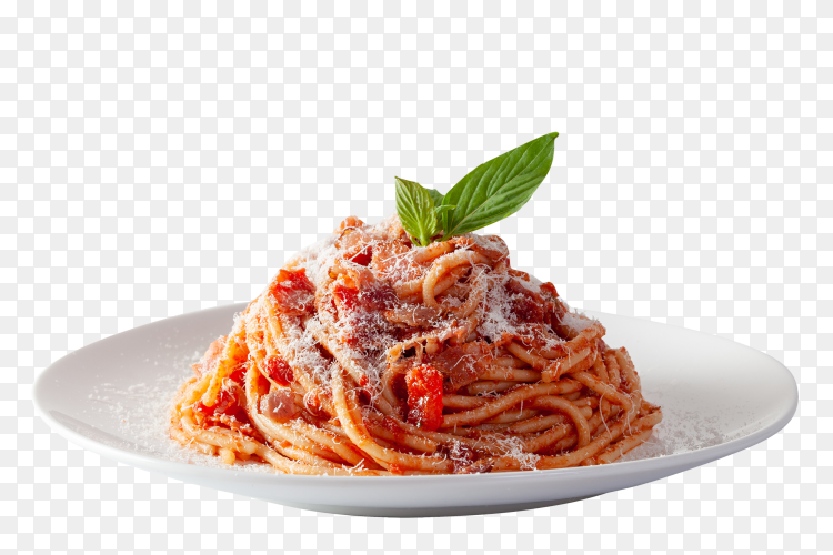 Detail Spaghetti Bolognese Png Nomer 39