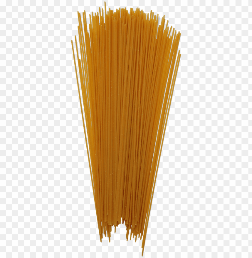 Detail Spaghetti Noodles Png Nomer 13